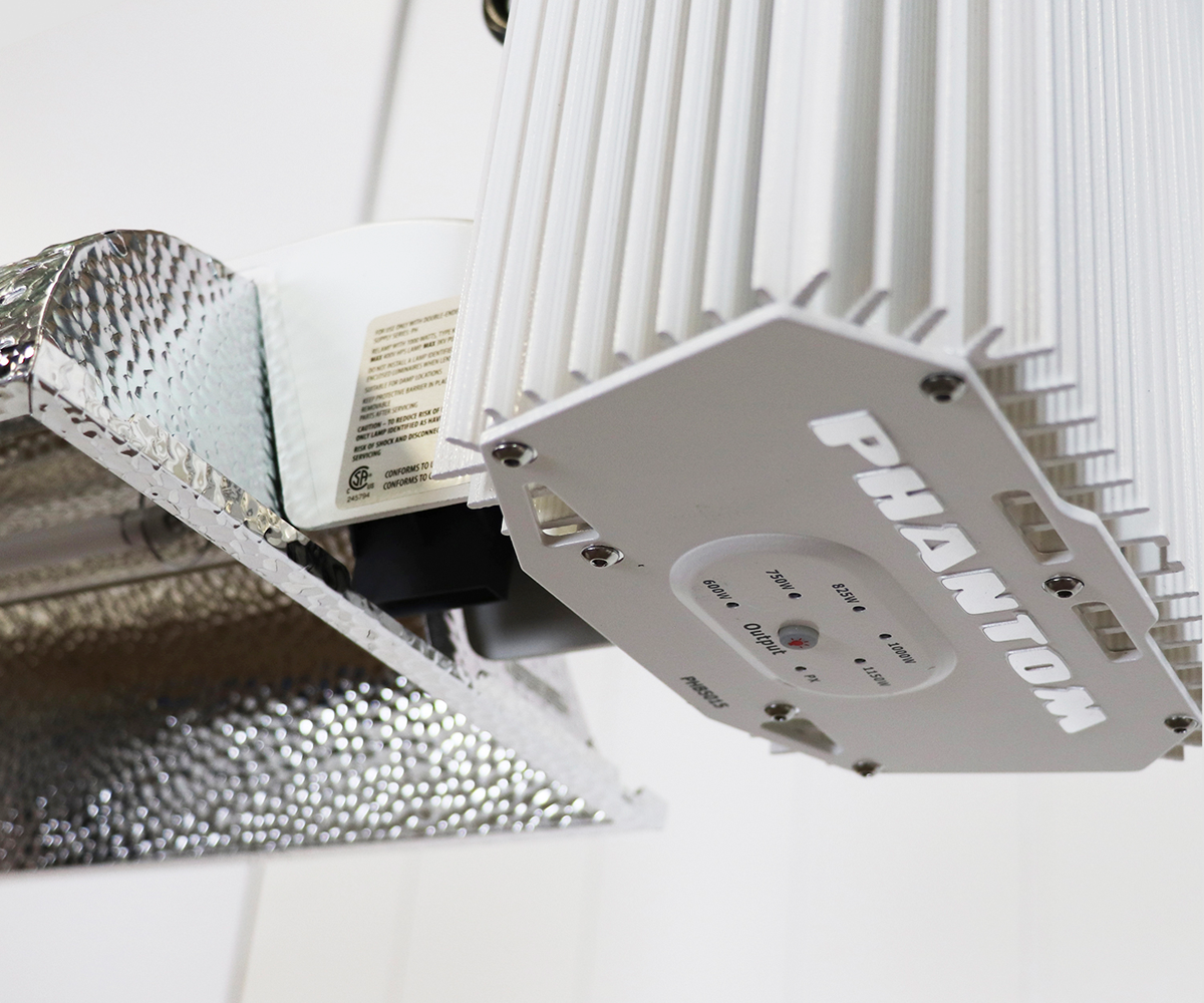 PHANTOM 50 - Dimming